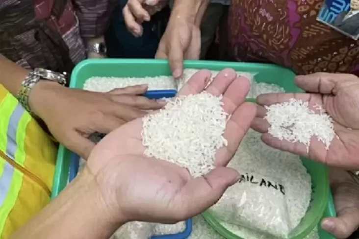 Usut Beras Oplosan,...