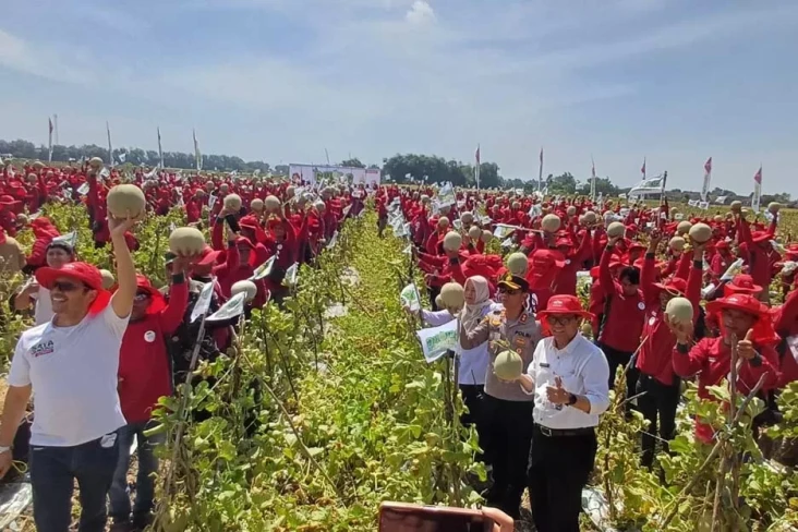 1.000 Lebih Petani Panen...