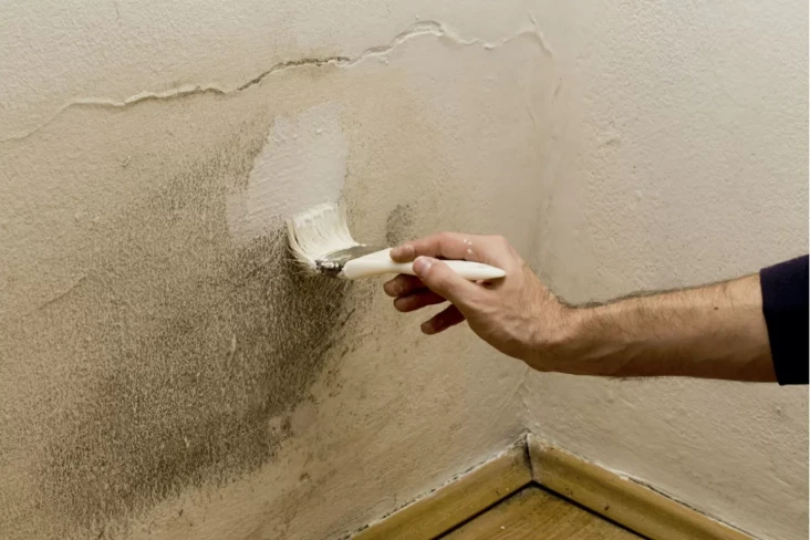 5 Tips Jaga Rumah di...