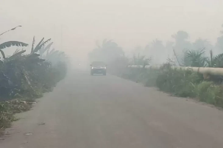 Dikepung Kabut Asap...