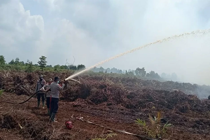 264 Hektare Lahan Gambut...