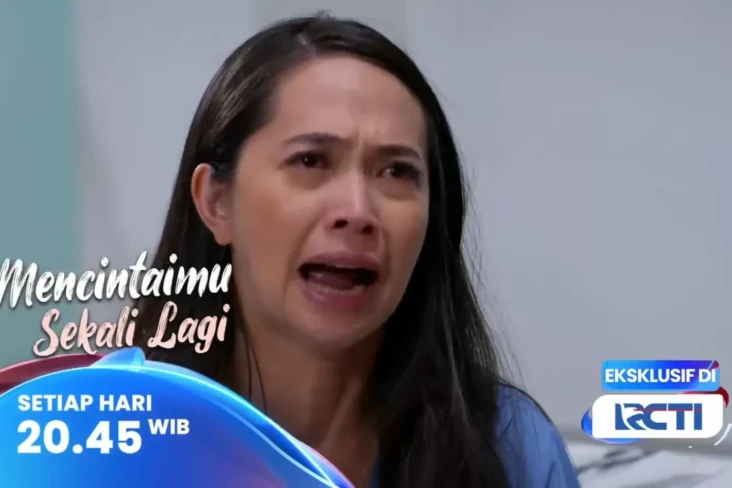 Sinopsis Layar Drama...