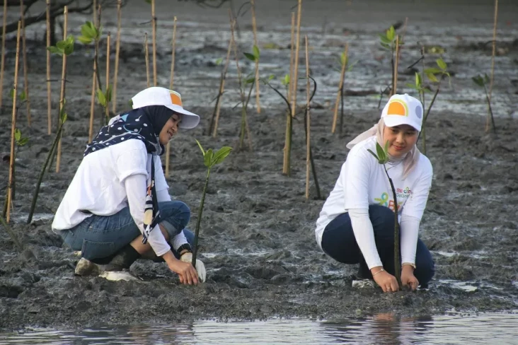Peringati Hari Mangrove...
