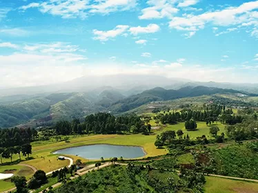 Kinerja Solid MNC Tourism,...