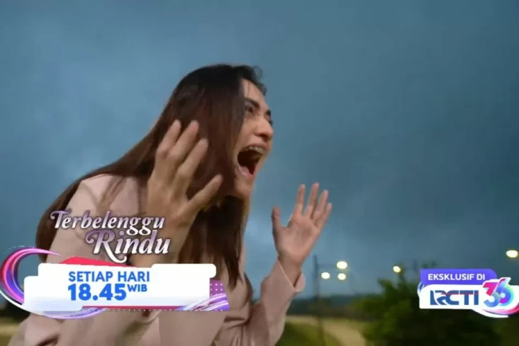 Sinopsis Layar Drama...