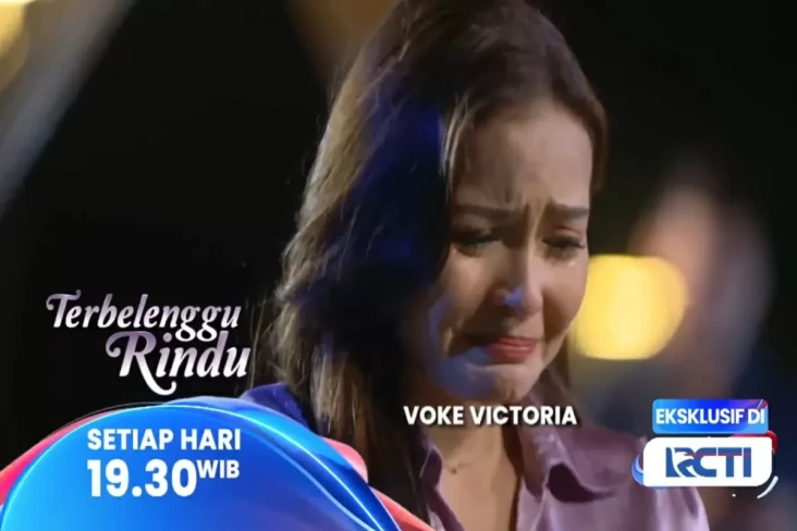 Sinopsis Layar Drama...