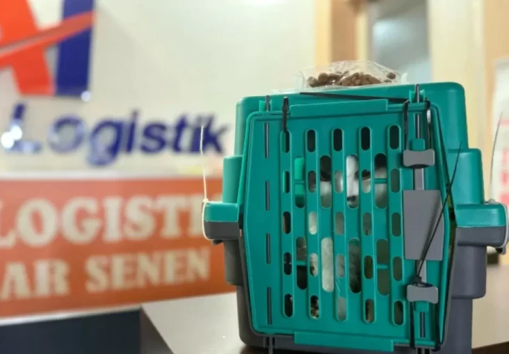 KAI Logistik Catat Pengiriman...