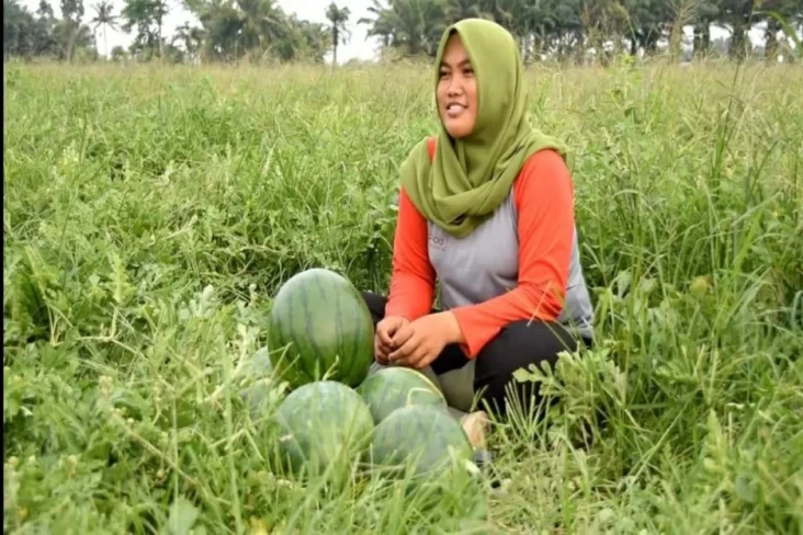 Koperasi Bangun Tani...