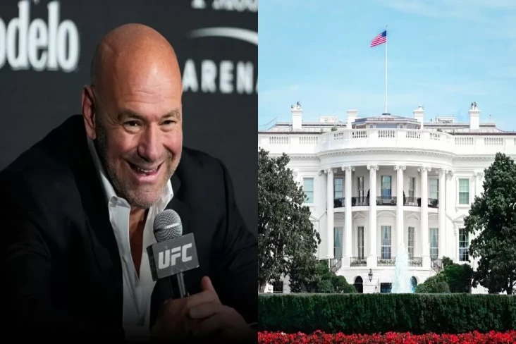 Sejarah Baru UFC: Dana...