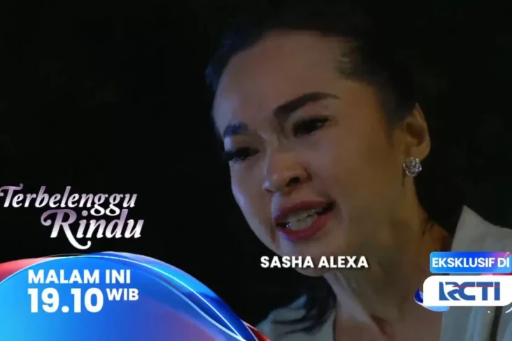 Sinopsis Layar Drama...