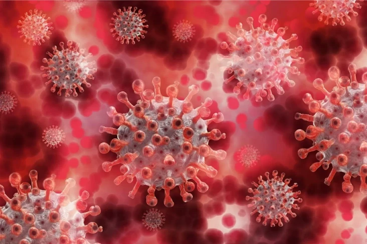 Rekor! Pria Ini Terinfeksi...