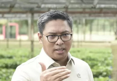 30 Hektare Sawah Gagal...