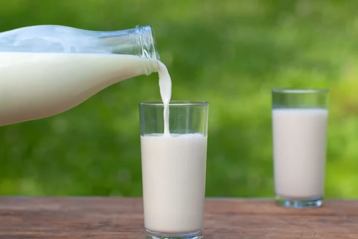 3 Susu yang Boleh Diminum...