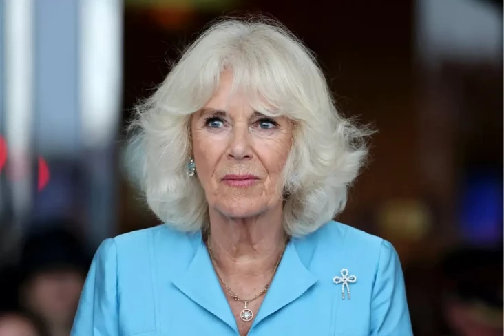 Ratu Camilla Jatuh Sakit,...