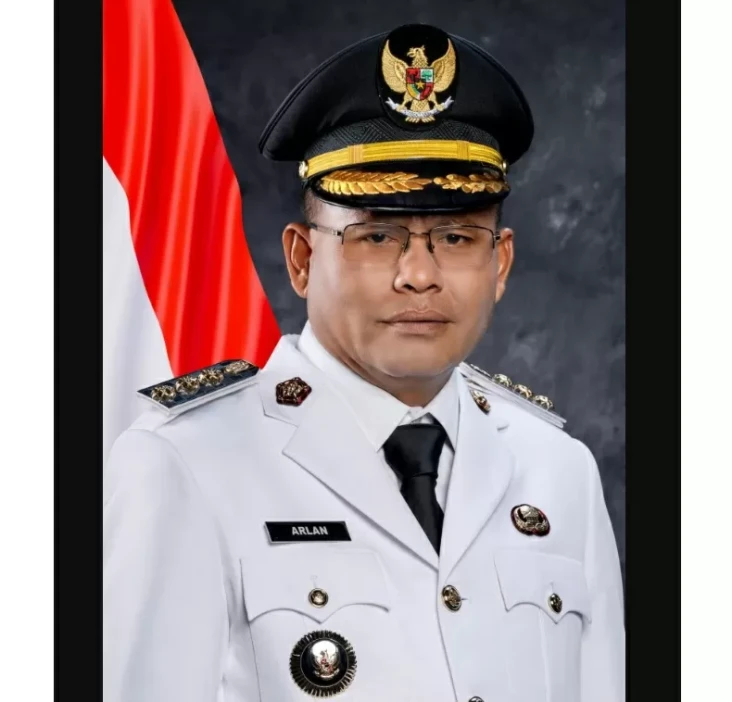 Riwayat Pendidikan Arlan...