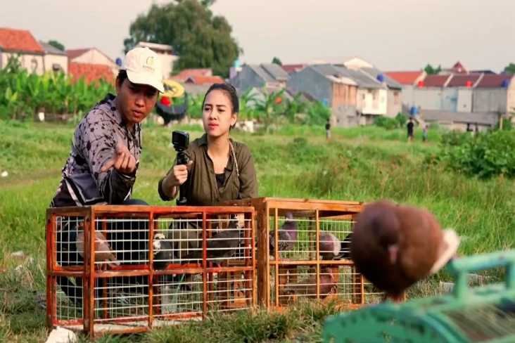 Belajar Nerbangin Merpati,...
