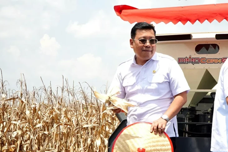 Panen Jagung di Sumsel,...