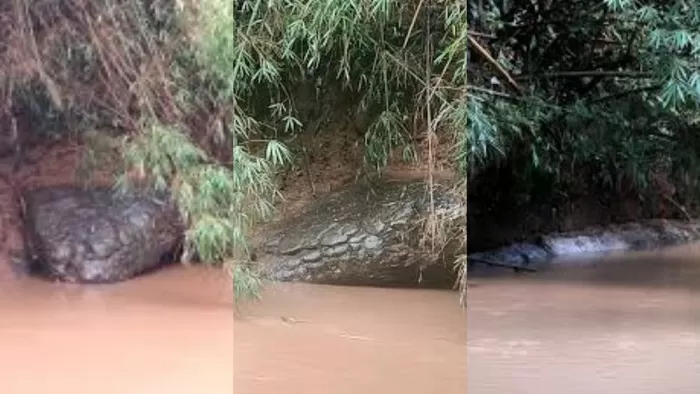 Lagi-lagi Batu Berbentuk...
