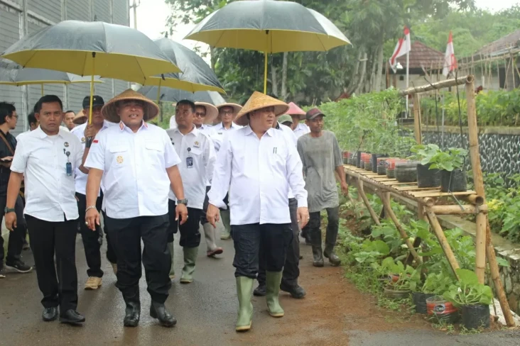 Direktur Pengamanan...
