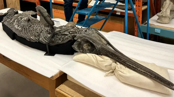 Inilah Dinosaurus Berjuluk...
