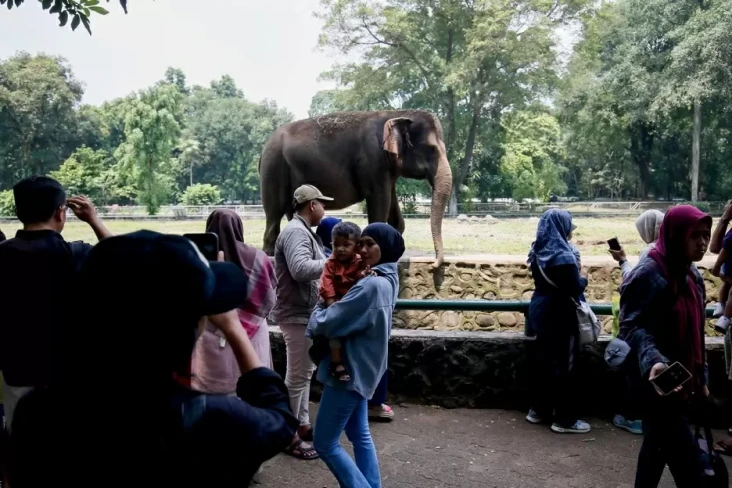 Hari Ini Ragunan Uji...