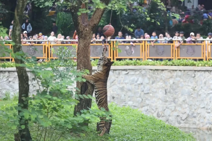 Ragunan Buka hingga...