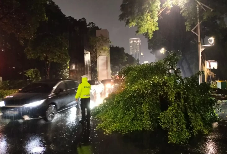 Pohon Tumbang di Depan...