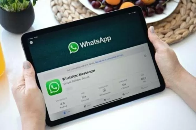Enkripsi Cadangan WhatsApp...