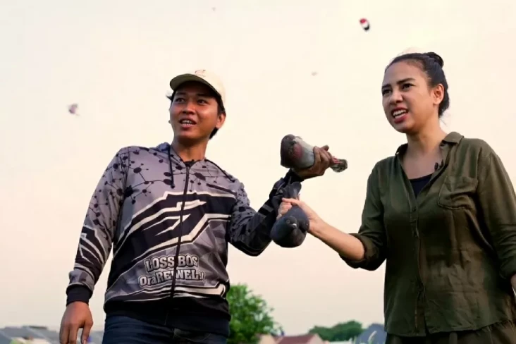 Belajar Merpati Bareng...