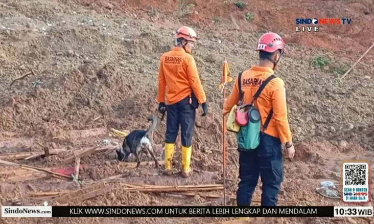 Awas Longsor Susulan!...