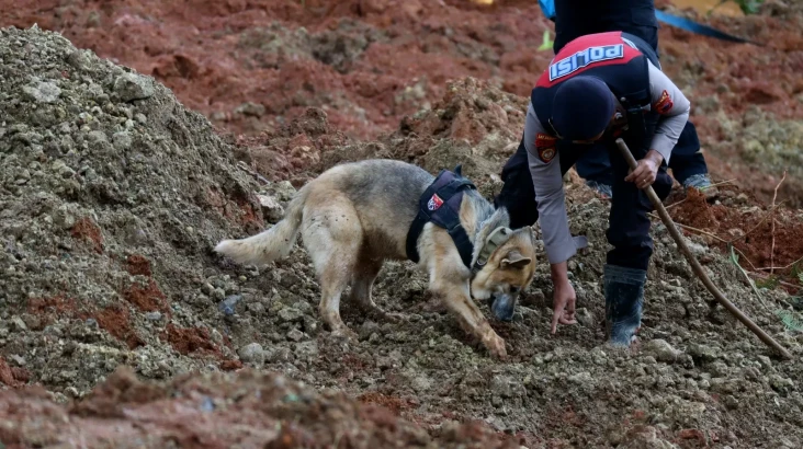 19 Anjing Pelacak Dikerahkan...