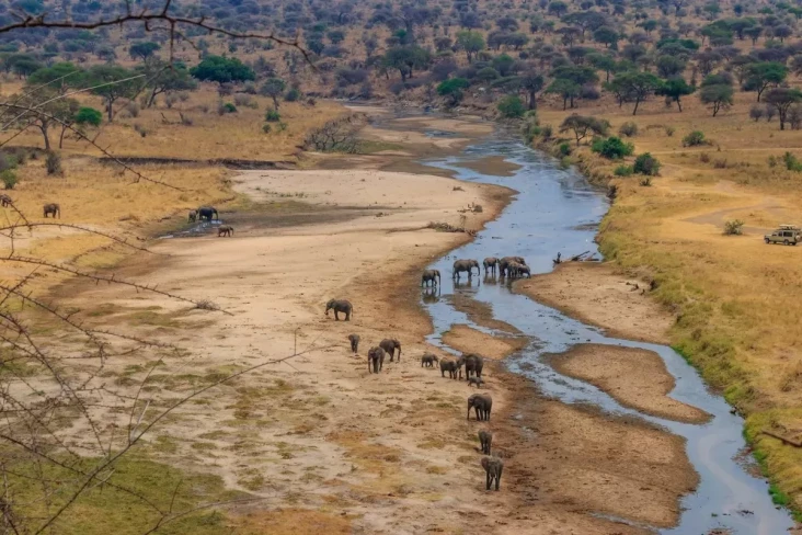 Mengapa Afrika Memiliki...