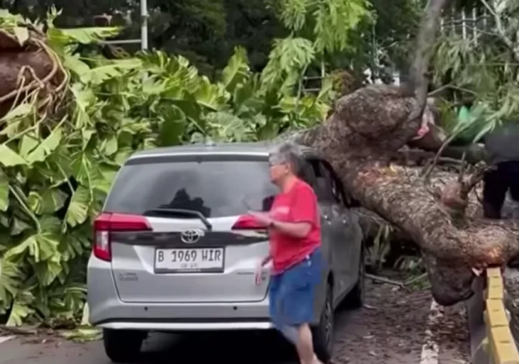 Ini Penampakan Mobil...