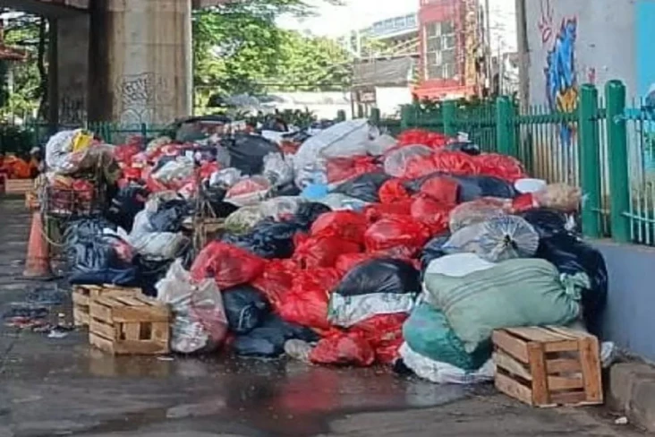 Tangsel Darurat Sampah:...