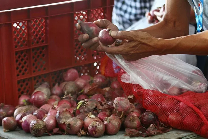 Petani Bawang Brebes...