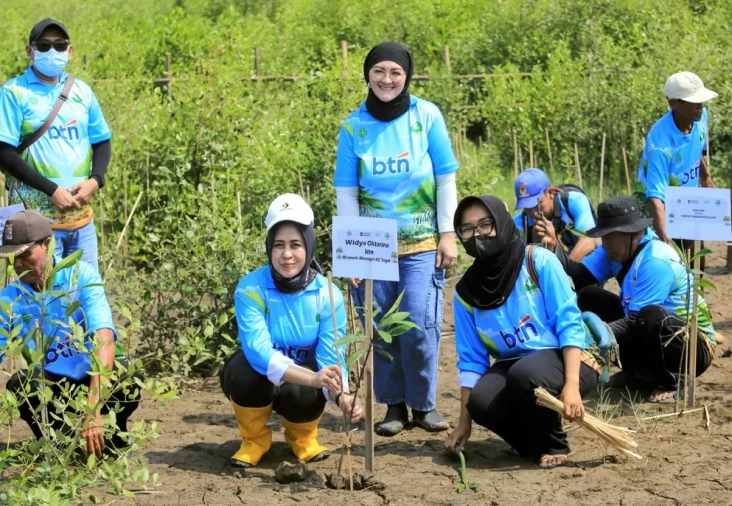 Rehabilitasi Mangrove...