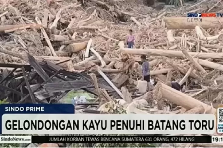 DPR Minta Status Kayu...