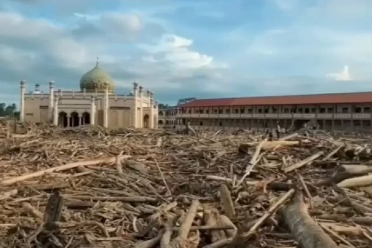 Asal Usul Kayu Gelondongan...