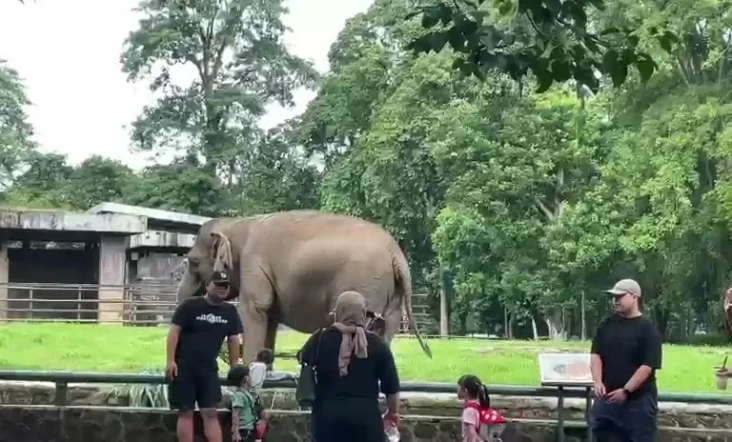 Libur Isra Mikraj, Pengunjung...