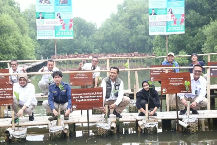 Rehabilitasi Mangrove,...