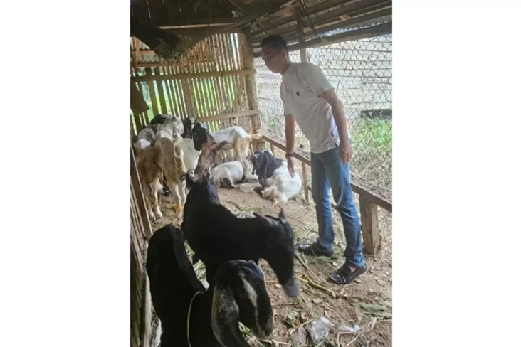 Dorong Peternak Lahat...
