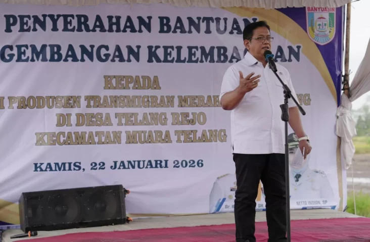 Panen Raya Padi di Telang,...