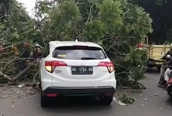 Angin Kencang Tumbangkan...