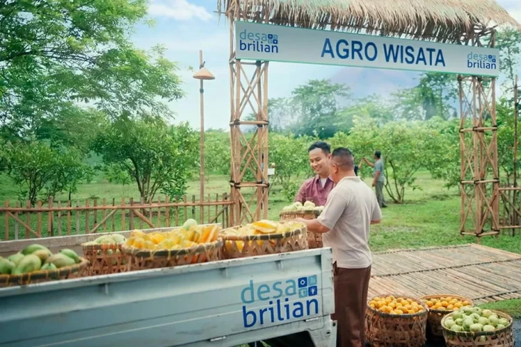 Program Desa BRILiaN...