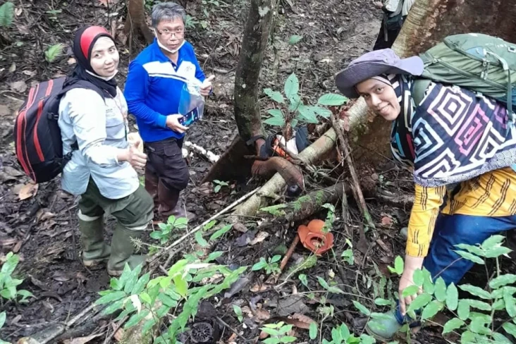 Peneliti Indonesia Kembali...