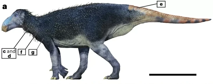 Dinosaurus Berduri Aneh...