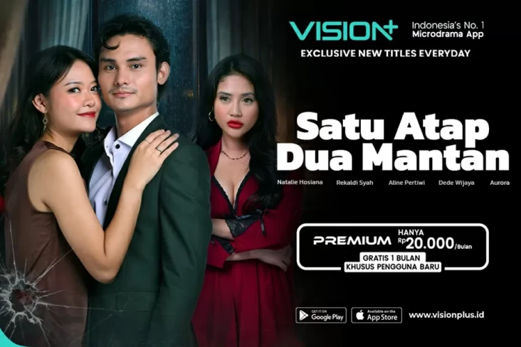 VISION+ Microdrama Satu...