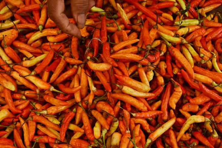 Harga Cabai Rawit Merah...