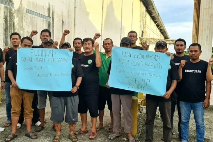 Ratusan Hektare Sawah...