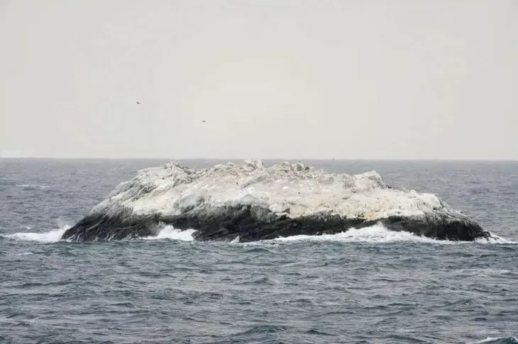 Pulau Misterius Ditemukan...